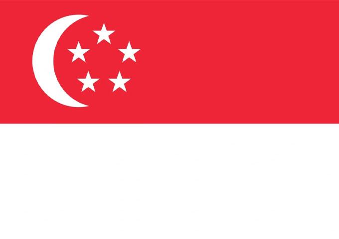 新加坡公司注册